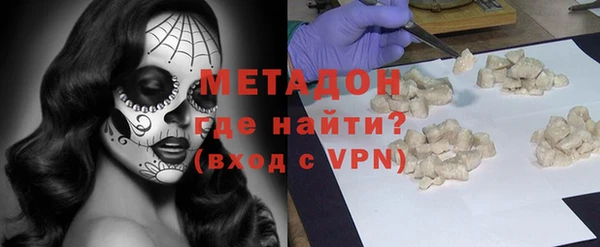 прущие грибы Ельня