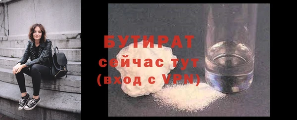 прущие грибы Ельня
