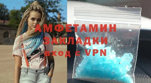 прущие грибы Ельня