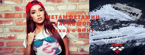 прущие грибы Ельня