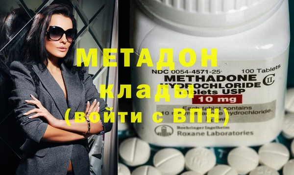 прущие грибы Ельня