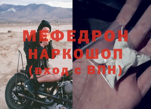 прущие грибы Ельня