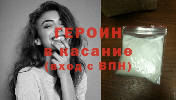 прущие грибы Ельня