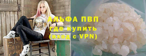 прущие грибы Ельня