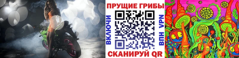 Купить закладки  Лодейное Поле  Галлюциногенные грибы Cubensis 